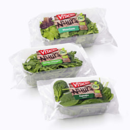 Salada Biológica Vitacress