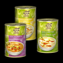 ASIA GREEN GARDEN® Sopa Tailandesa