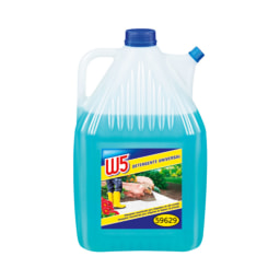 W5® Produto de Limpeza para Lavadora a Alta Pressão