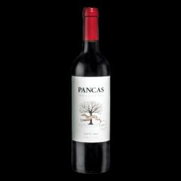 PANCAS Vinho Tinto Regional
