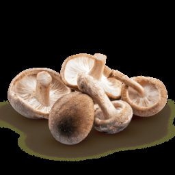 Cogumelos Shiitake Biológicos