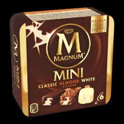 Gelado Magnum Mini
