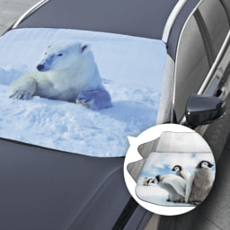 CAR XTRAS® Proteção Térmica para Vidro Automóvel