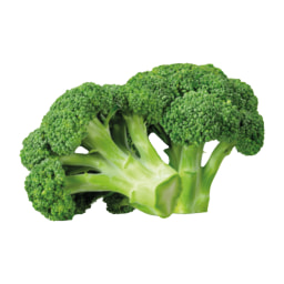 Brócolo