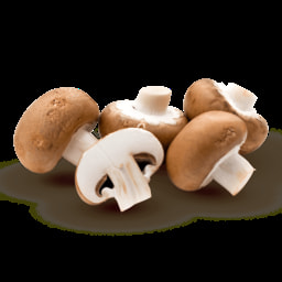 Cogumelos Marron Biológicos