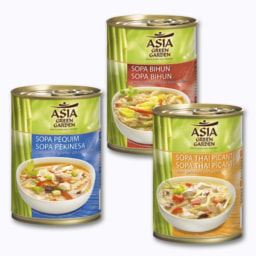 Sopa Asiática
