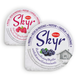 Iogurtes Skyr MILBONA®