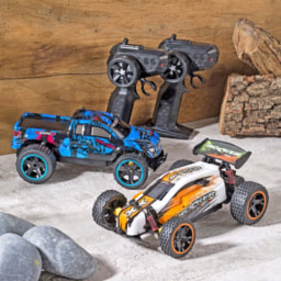RC Speed Buggy