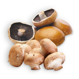 Cogumelos Portobello / Marron