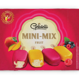 GELATELLI® Gelado Mini-mix Fruta
