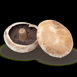 Cogumelo Portobello