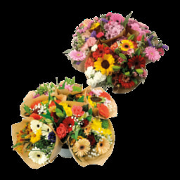 GARDENLINE® Bouquet médio