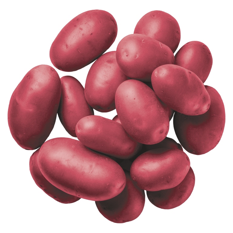 Batata Roxa