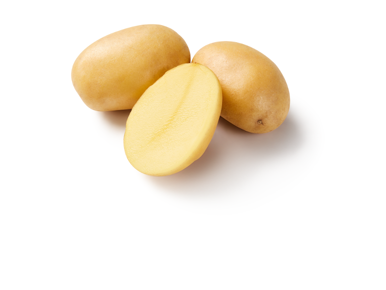 Batata Branca