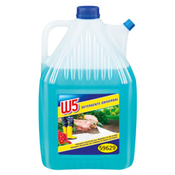 W5® Produto Limpeza para Lavadora a Alta Pressão