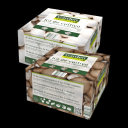 GARDEN FEELINGS® Kit de Cultivo de Cogumelos