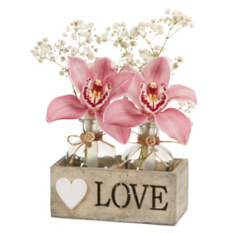 Flores de Orquidea 'Love'