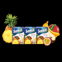 Santal Néctar Tutti-frutti