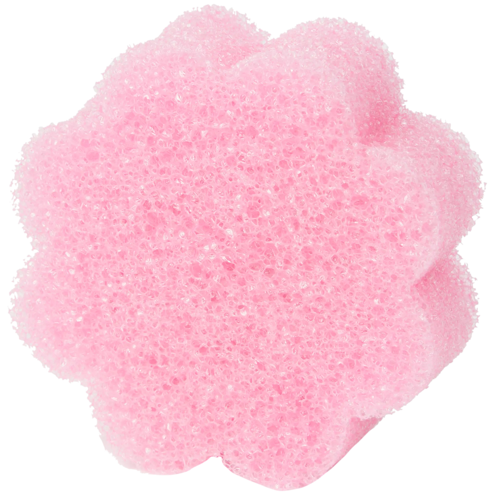 Esponja CleanRite Super Scrubby