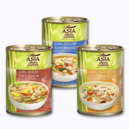Sopa Asiática