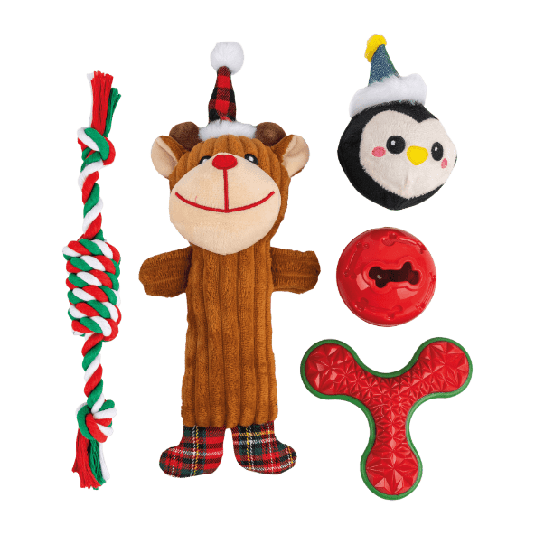 Romeo® - Conjunto de Brinquedos para Cão