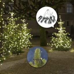 LIGHTZONE® Luzes para Árvore de Natal