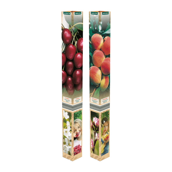 GARDENLINE® - Árvores de Fruto em Caixa