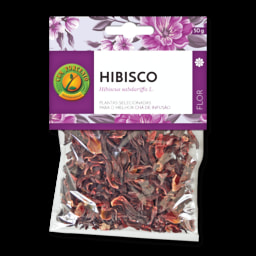 Chá Flor de Hibisco