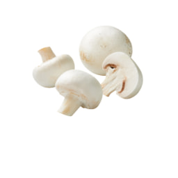 Cogumelos