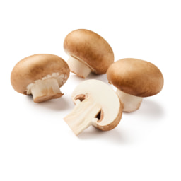 Cogumelo Marron