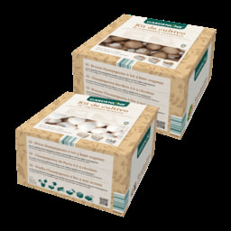 GARDENLINE® Kit de Cultivo de Cogumelos