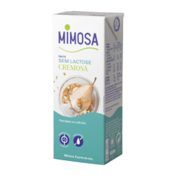 MIMOSA - Nata Cremosa sem Lactose