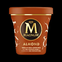 MultiPROMOS Gelado De Copo Cl ssico Magnum MultiPROMOS Gelado De Copo Cl ssico Magnum