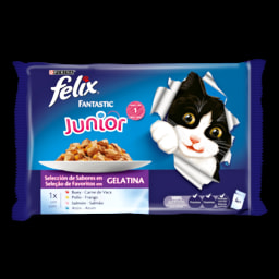 Felix Comida Húmida para Gato Júnior