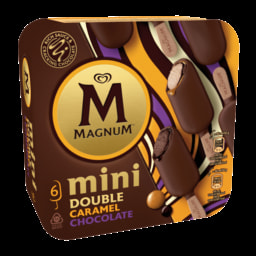 Magnum Mini Double Choc & Caramel