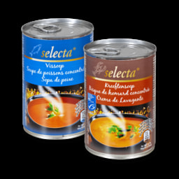 SELECTA® Sopa de Peixe/ Creme de Lavagante