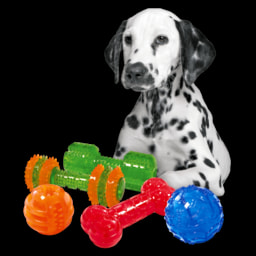 Brinquedo para Higiene Oral de Cão