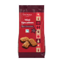 Biscoitos com Especiarias e Chocolate