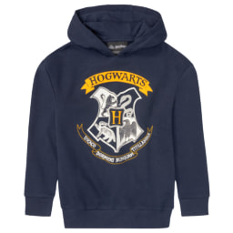 Camisola Harry Potter para Rapaz