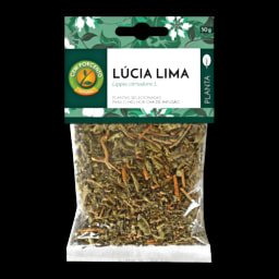 Cem Porcento Chá Infusão Lúcia-lima