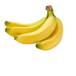 Banana Rainforest Alliance