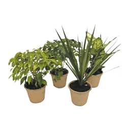 GARDENLINE® Plantas Verdes Mix Eco