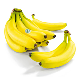 Banana RainForest Alliance