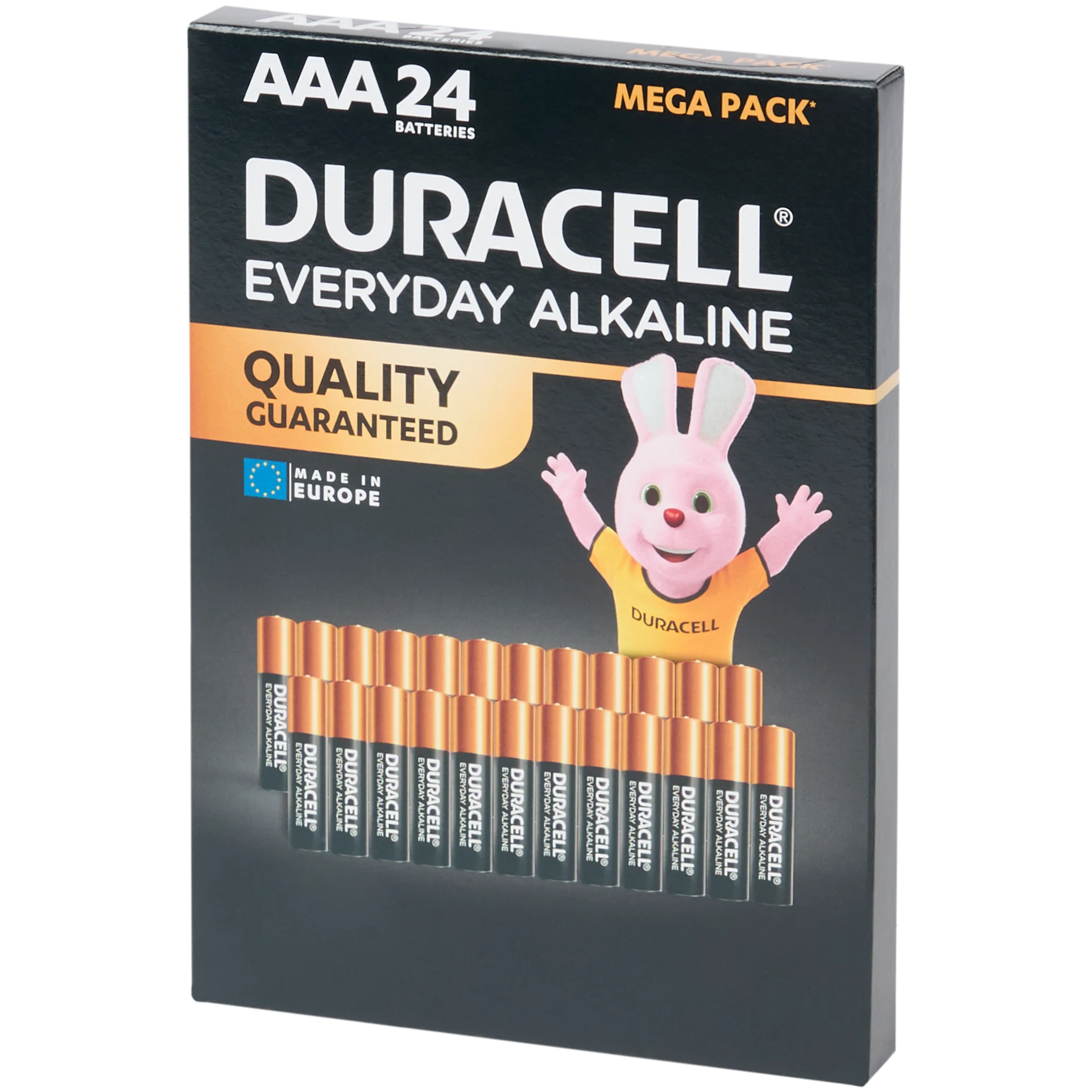Pilhas Duracell Everyday Alkaline AAA