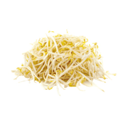 Rebentos Feijão-mungo Nacionais