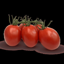 GUT BIO® Tomate Biológico 