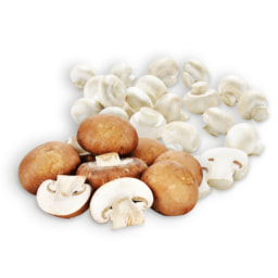 Cogumelos Brancos / Marron