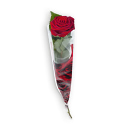 Rosa Vermelha em Gravata 60cm