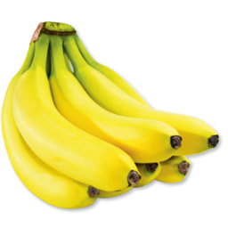 Banana RainForest Alliance
